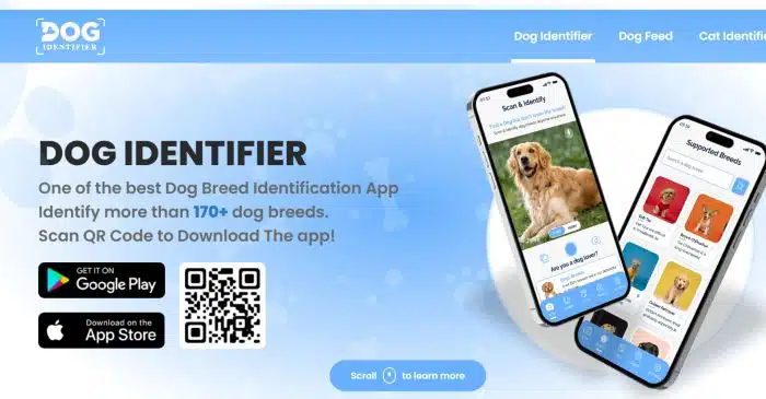 dog-identifier