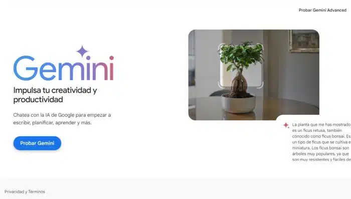 google-gemini
