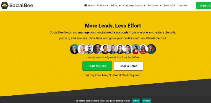 socialbee